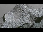 'Alien world chemistry' found in meteorite