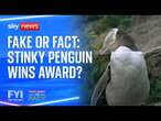 Fake or Fact: Stinky penguin wins award?