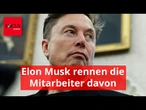 Elon Musk rennen die Mitarbeiter davon