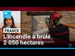 Forêt de Fontainebleau : le feu s'étend toujours, 2 050 hectares brûlés • FRANCE 24