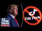 Biden administration ‘rushing’ to ban TikTok: Trump adviser