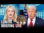 LIVE: White House briefing as National Guard deployed in D.C.