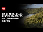 Brasil perde vegetação natural equivalente ao tamanho da Bolívia em 40 anos | LIVE CNN