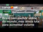 Azeite do Brasil tem a classificação mais alta do mundo, mas ainda luta para aumentar volume