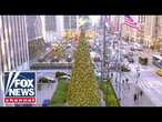 WATCH LIVE: Fox News' All-American Christmas Tree