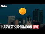 LIVE: Rare October supermoon lights up skies