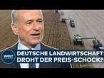 DEUTSCHLAND: Preis-Schock an Kasse? Erzeugerpreise in Landwirtschaft erneut gestiegen