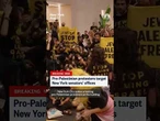 Pro-Palestinian protesters target New York senators' offices