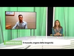 Il muscolo: organo della longevità