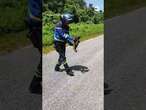 Officer carries sloth to safety