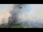 La Turquie lutte contre les incendies de forêt alors qu'une vague de chaleur frappe l'Europe