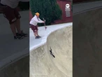 Skunk rescued after getting stuck in bowl at skatepark in Pennsylvania