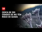 Cerca de 200 cidades de Minas Gerais têm risco de geada | LIVE CNN