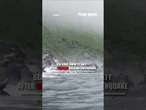 SWIMMING TO SAFETY: Video captures dozens of panicked sea lions #shorts #usa #us #viral #animals