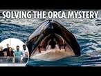 I joined Orca team searching for White Gladis to solve mystery of why her pod are smashing yachts