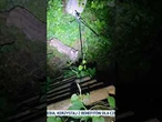 Pilne ostrzeżenie dla mieszkańców! Bestia grasuje w polskich lasach, zakaz wstępu!