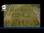 Farmer plants millions of wheat seeds to surprise wife for 20th anniversary