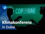 UN-Klimakonferenz in Dubai: Handlungsspielräume in der Klimakrise