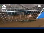 Animal shelter owner evacuates dogs and cats from flooding in China