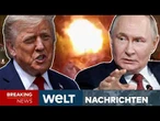 UKRAINE-KRIEG: Putin reagiert in St. Petersburg auf Lage! Trump schaltet sich ein I WELT LIVESTREAM