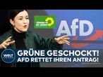 BRANDMAUER-BEBEN IN SACHSEN: Grünen-Antrag siegt ausgerechnet mit AfD-Stimmen!
