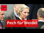 AfD hat dank Merz gerade ihr Alleinstellungsmerkmal verloren