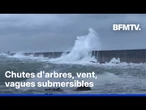 Biscarrosse, Cherbourg, Quiberon…Vos images témoins de la tempête Benjamin