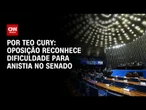 Oposição reconhece dificuldade para anistia no Senado | CNN NOVO DIA