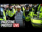 LIVE: Mass pro-Palestine protest takes place in London despite PM's plea to 'show respect'