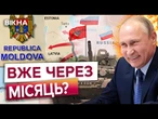 НА КОРДОНАХ ПАНІКА! Литва розгортає ППО, Естонія будує фортифікації. Нова провокація від Путіна?