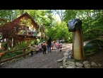 Des dinosaures grandeur nature pour diversifier le tourisme