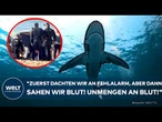 SYDNEY: Schockmoment am Coogee Beach! Rettungseinsatz nach schwerem Hai-Angriff auf Schwimmerin!