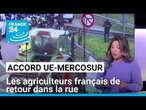 Projet d'accord UE-Mercosur : les agriculteurs français de retour dans la rue • FRANCE 24