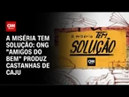 A Miséria Tem Solução: Iniciativa de ONG gera empregos no sertão | CNN PRIME TIME