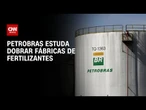 Petrobras avalia dobrar produção de fertilizantes em busca da autossuficiência | CNN AGRO NEWS