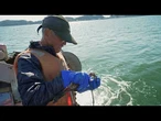 Après le tsunami de 2011, les pêcheurs japonais se tournent vers l'avenir