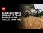 El Niño: Amplos estoques de grãos podem amenizar impacto do fenômeno | CNN AGRO NEWS