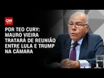 Análise: Mauro Vieira tratará de reunião entre Lula e Trump na Câmara | CNN NOVO DIA