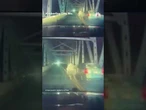 Man fleeing from police jumps off bridge