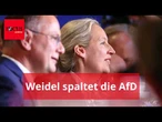 Weidel spaltet die AfD: „Habe das Gefühl, es wird schlimmer”