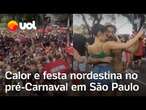 Carnaval em SP: Parque Ibirapuera vira Nordeste com baião, colorido de chitas e Alceu Valença