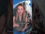 Bergführer überlebt alleine am Mount Everest