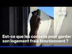 Canicule: est-ce que les conseils pour garder son logement frais fonctionnent vraiment?