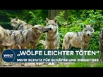 DEUTSCHLAND: Eingriffe gegen Problemtiere — Wölfe sollen leichter getötet werden dürfen!