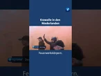 Niederlande: Krawalle bei Protesten für eine strengere Migrationspolitik. #tagesschau #nachrichten