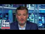 It’s ‘disgraceful’ how Harvard is behaving: Sen. Ted Cruz