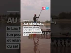 Le Lac Rose retrouve un peu de sa couleur et relance l’économie du sel • FRANCE 24