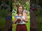 Kirschen – rot, rund und gesund! #gesund #gesundheit #kirsche #kirschen #eatclean