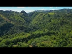 Envie de découvrir les paysages les plus verts de la République dominicaine ? Rendez-vous à Sa…