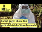 Kampf gegen Ebola: Wie gefährlich ist der Virus-Ausbruch?